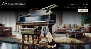 Westchester Piano is a musician-owned boutique piano showroom located in Katonah, NY.