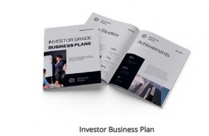 Investor Business Plan Writer