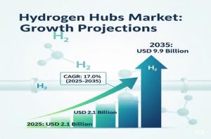 Hydrogen Hubs Market