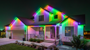 Permanent Halloween LED Lighting