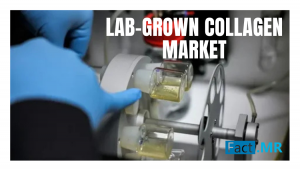 Lab-grown Collagen Market