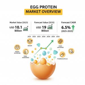 Egg Protein Market