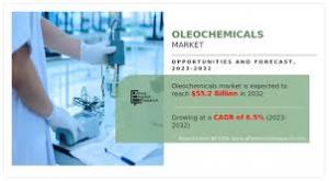 Oleochemicals Market, by Type