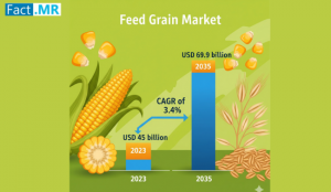 Feed Grain Market