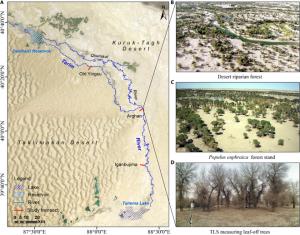 study area and field photos