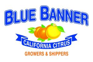 blue banner company