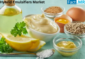hybrid emulsifiers market
