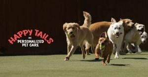 st. louis dog hotel has been acquired