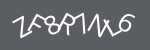 captcha image