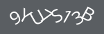 captcha image