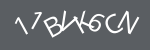 captcha image